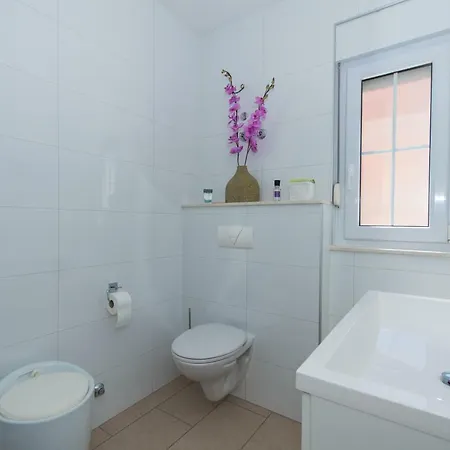 阿纳斯塔西娅公寓 公寓 特罗吉尔